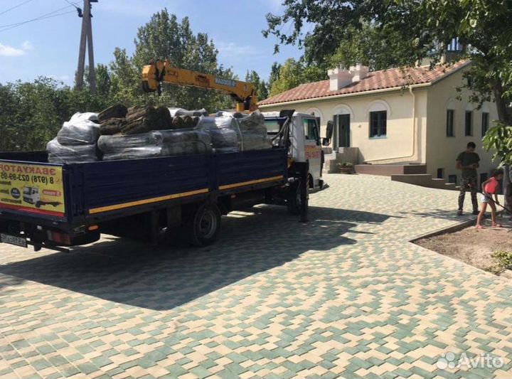 Рулонный газон 