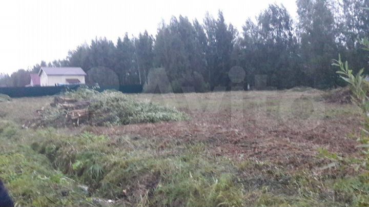 Участок 10 сот. (СНТ, ДНП)