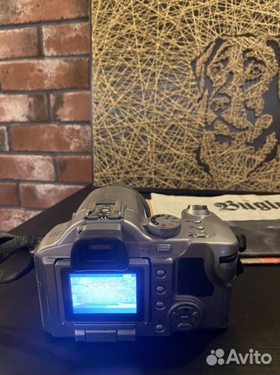 Фотоаппарат Panasonic DMC-FZ50