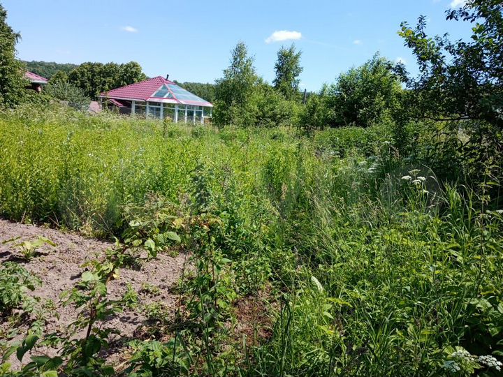 Участок 19,2 сот. (ИЖС)