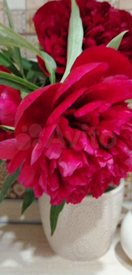 Участок 90 сот. (ИЖС)