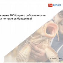 Агентство по рыбоводству в городе Сан-Марино, Аккуавива