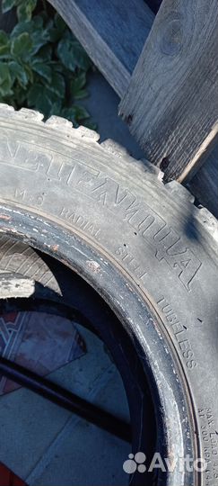 Motrio Impulsion+ 175/70 R13