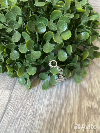 Шармы серебро