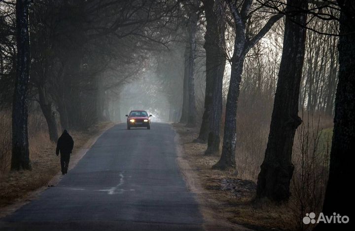 Свободный тур по Калининградской области