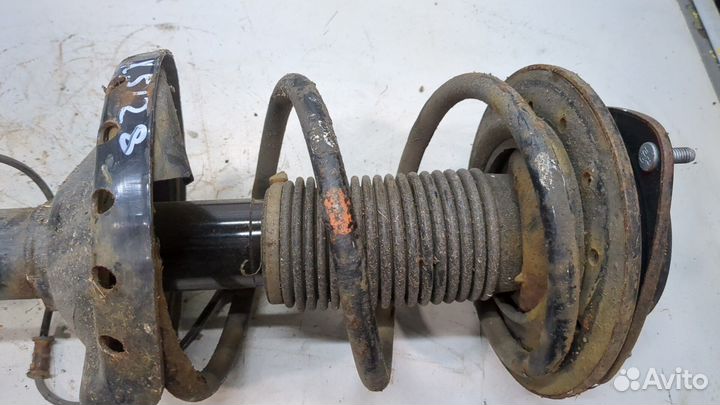 Амортизатор подвески Subaru Legacy (B13), 2006