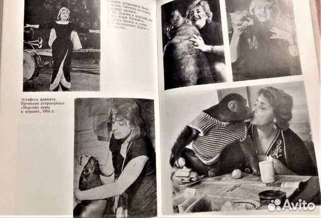 Зелёные огоньки\ Ох, уж эта Зойка 5 книг