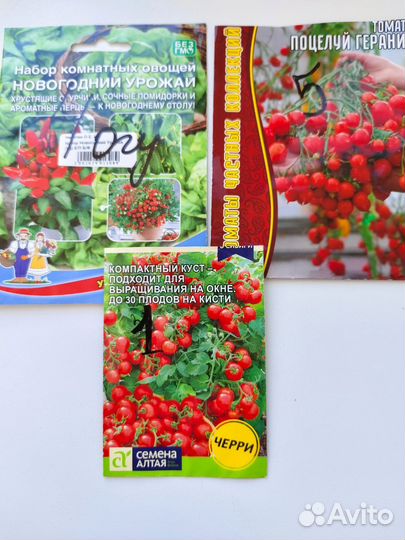 Рассада цветов и овощей