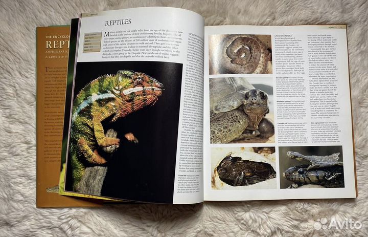 Энциклопедия рептилии на английском языке