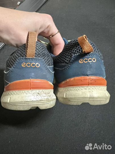 Кроссовки Ecco biom 36