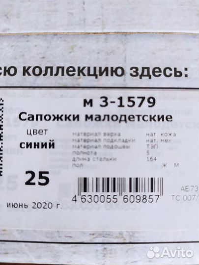 Зимние сапоги