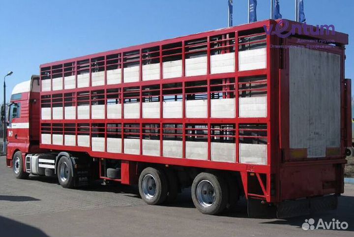 Перевозка животных по России