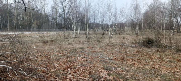 Участок 25 сот. (ИЖС)
