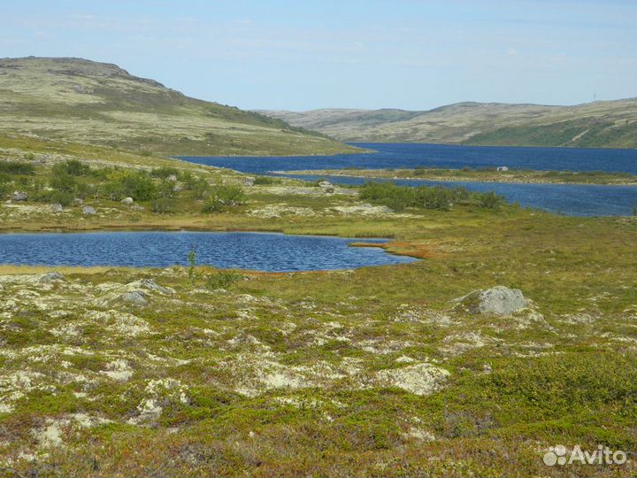 Рыбалка в Териберке