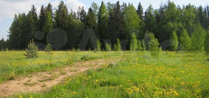 Участок 6,5 га (ИЖС)