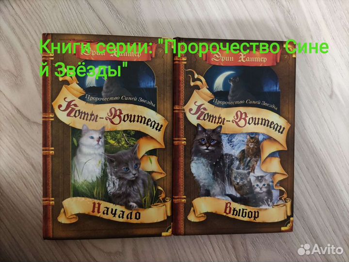 Коты-Воители Пророчество Синей Звезды началовыбор