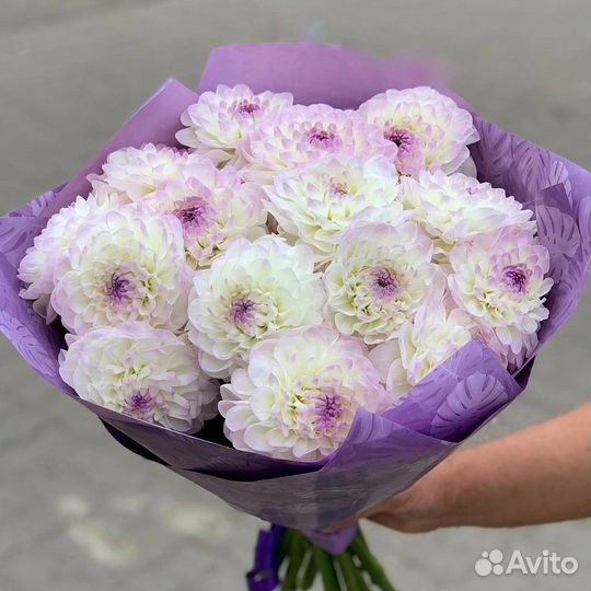 Георгины эвелин букет цветы с доставкой розы