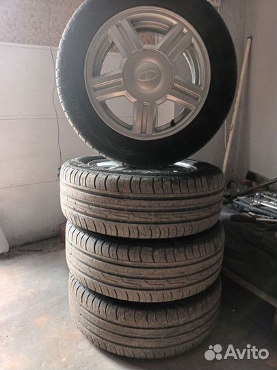 Торусы r14