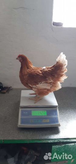 Выбираем Лучшее