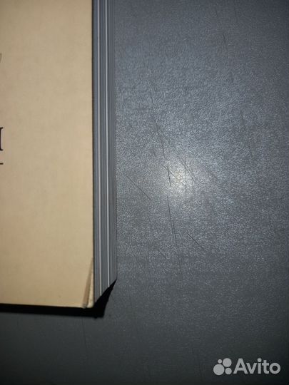 Добровольская Фокин. Русский период