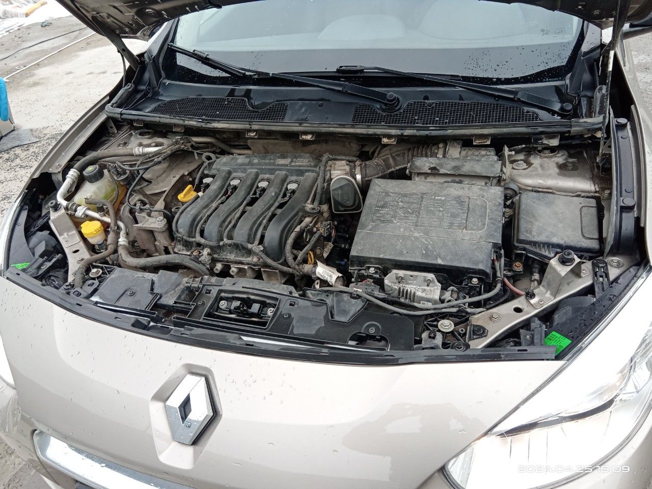 Renault Fluence: фото владельца
