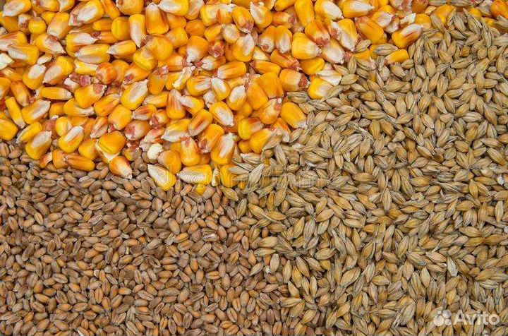 Белгородские корма, комбикорм (старт, рост, финиш)