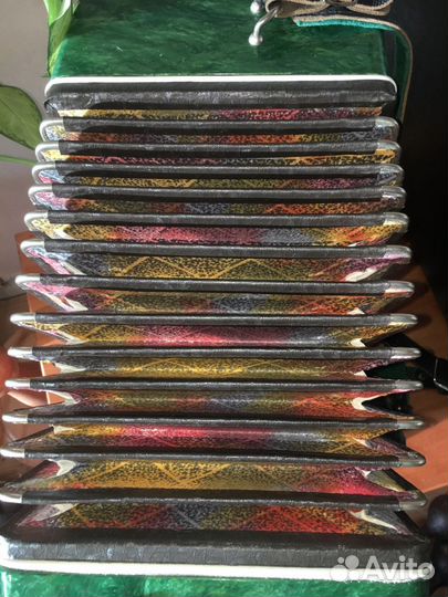 Баян Кировский 3