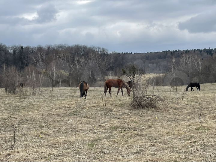 Участок 4,6 га (СНТ, ДНП)