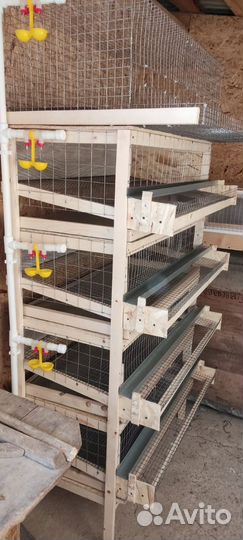 Клетки для перепелов