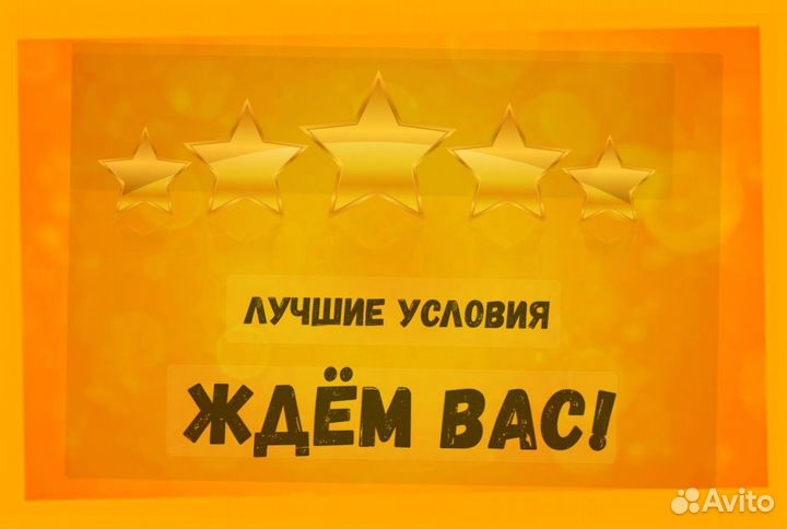 Наборщик заказов Без опыта Еженедельные выплаты