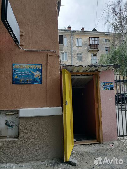 Аквариумные рыбки