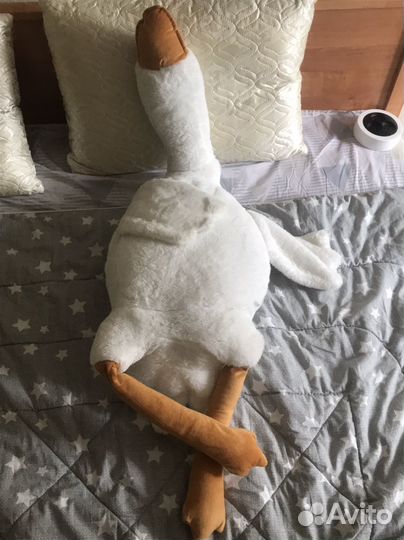 Гусь кайфует