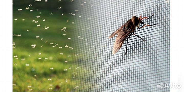Москитные сетки на окна и двери бюджетные