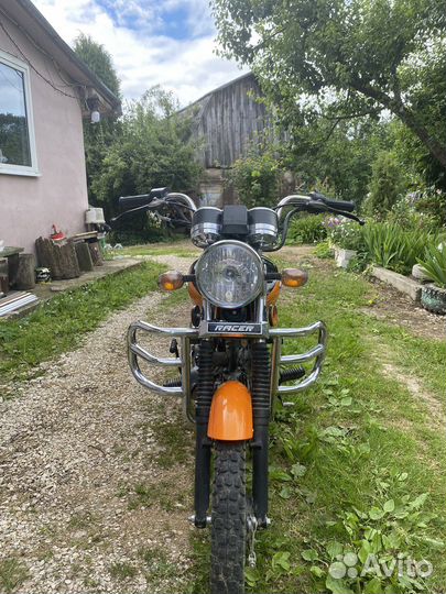 Альфа рейсер