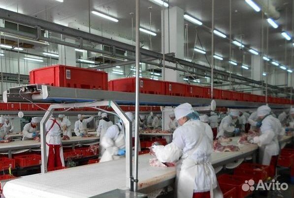 Упаковщица на полуфабрикаты