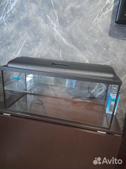 Красноухая черепаха