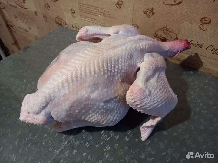 Мясо индейки