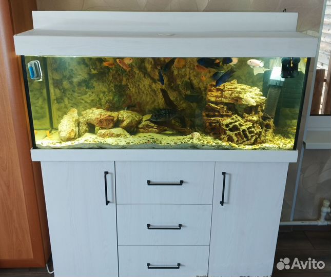 Аквариум