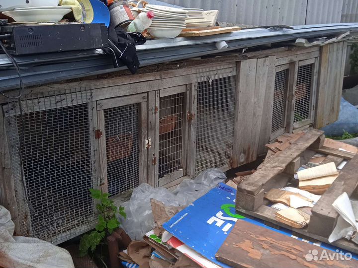 Крольчатники