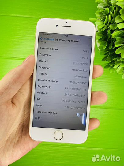 iPhone 6s 16gb gold