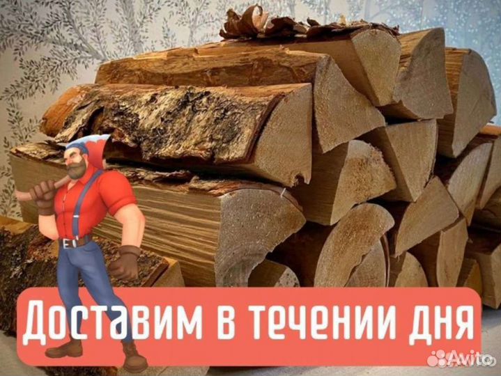 Дрова березовые полусухие колотые