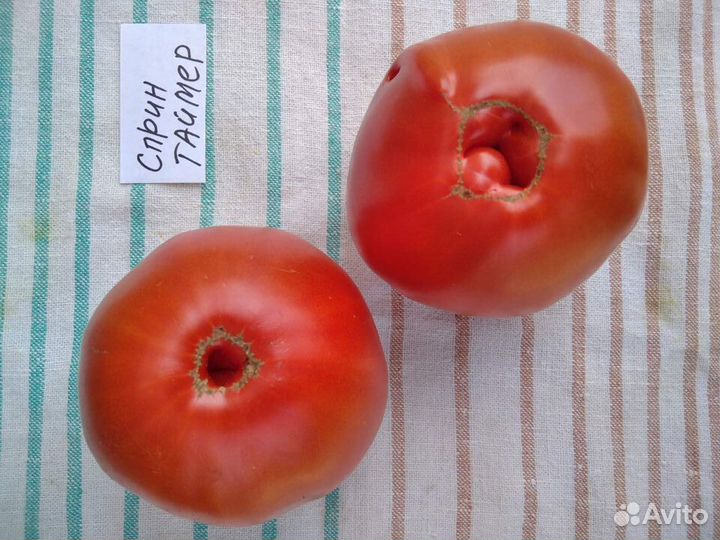 Семена коллекционных томатов Минусинских сортов