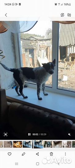 Малыш Диверсант