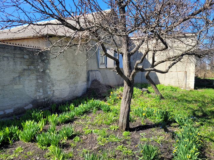 Дом 70 м² на участке 40 сот.