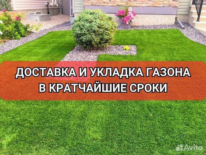 Рулонный газон от производителя элитный