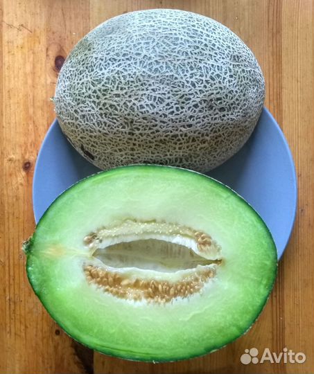 Саженцы арбуза