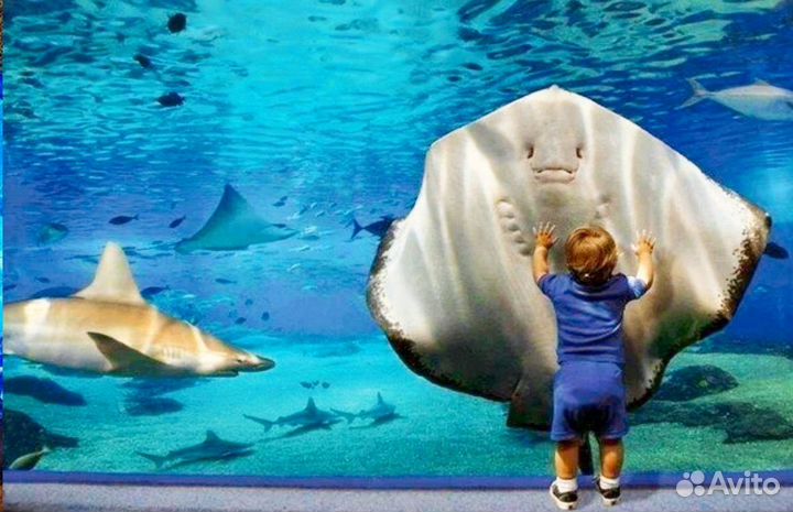 Билет в Океонариум