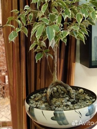 Интерьерная композиция