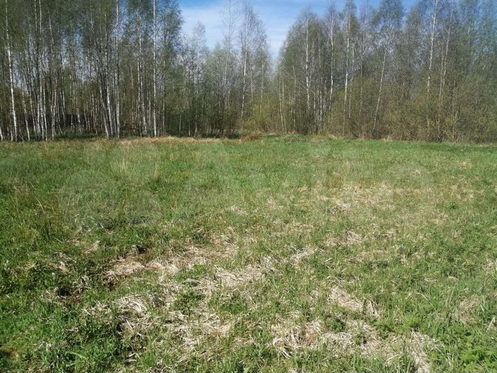 Участок 8 сот. (СНТ, ДНП)