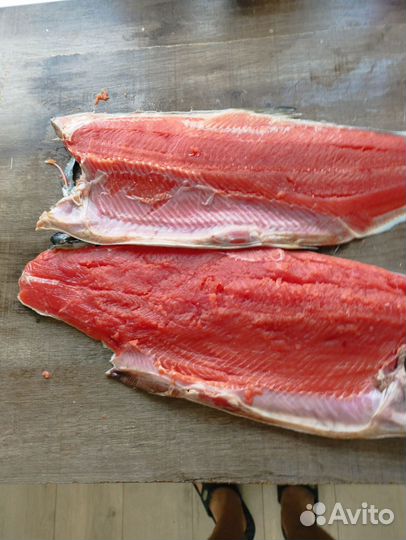 Лосось дикий кижуч